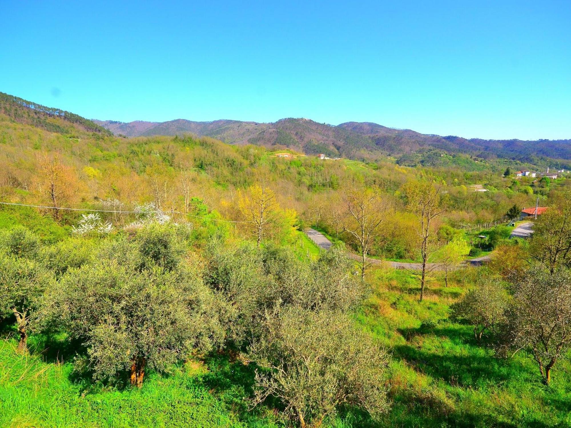 Spacious Home Surrounded By Nature Sesta Godano ภายนอก รูปภาพ